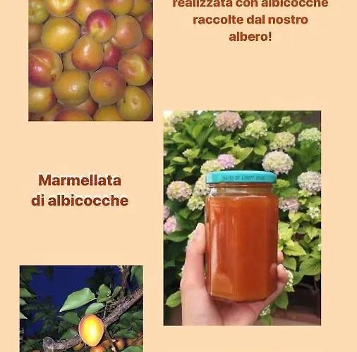 Magna Graecia סקליאה